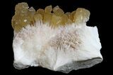 Yellow Calcite On Scolecite (Zeolite) Sprays - Maharashtra, India #168705-1